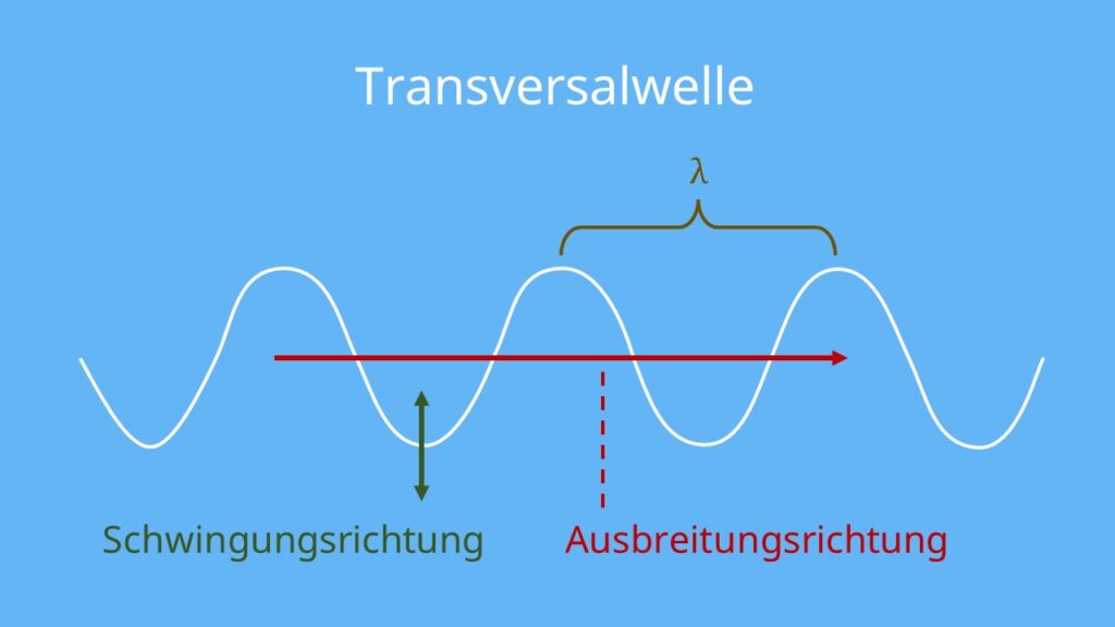 Bild von Transversalwelle