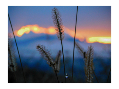 28_-JB_ANTE-PORTAS_Fotografien-von-Klampfl-und-Zettl_FH_korr_INS-2
