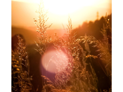 28_-JB_ANTE-PORTAS_Fotografien-von-Klampfl-und-Zettl_FH_korr_INS