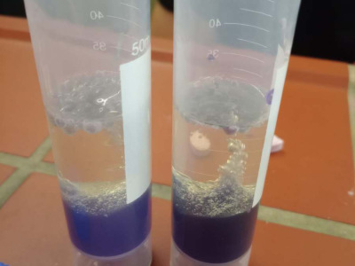 IMG_20251128_090550518