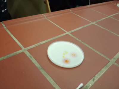 IMG_20251128_100736081