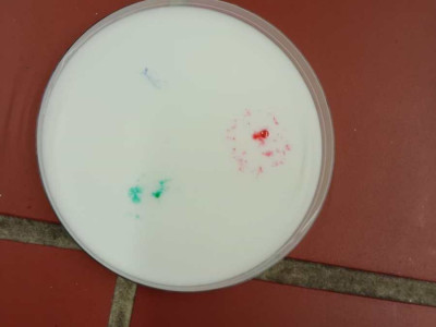 IMG_20251128_100741273