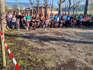 Crosslauf Landesmeisterschaft 2024