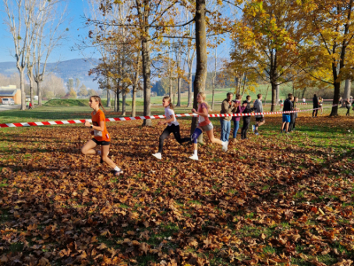 29_-Crosslauf-Landesmeisterschaft-_TEK_korr_INS-10