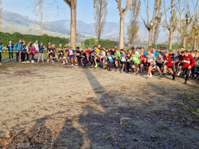 29_-Crosslauf-Landesmeisterschaft-_TEK_korr_INS-11