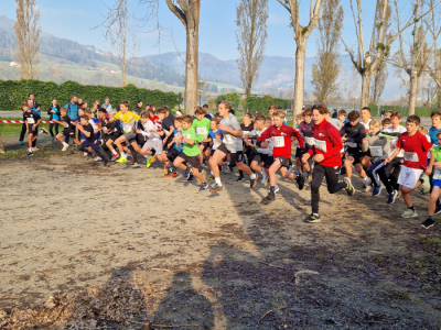 29_-Crosslauf-Landesmeisterschaft-_TEK_korr_INS-12