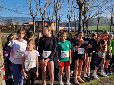 29_-Crosslauf-Landesmeisterschaft-_TEK_korr_INS-2