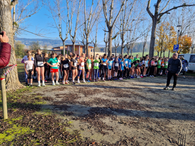 29_-Crosslauf-Landesmeisterschaft-_TEK_korr_INS-3