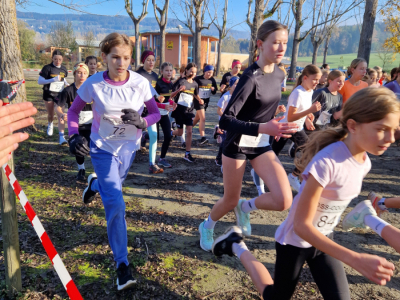 29_-Crosslauf-Landesmeisterschaft-_TEK_korr_INS-5