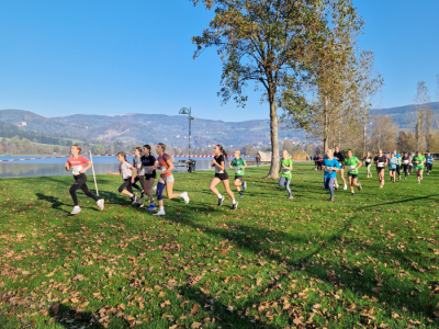 29_-Crosslauf-Landesmeisterschaft-_TEK_korr_INS-6