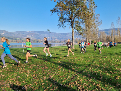 29_-Crosslauf-Landesmeisterschaft-_TEK_korr_INS-8