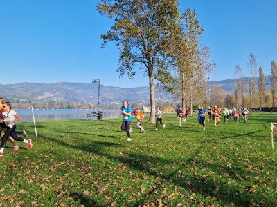 29_-Crosslauf-Landesmeisterschaft-_TEK_korr_INS-9