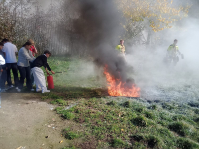 IMG_20251104_120823579