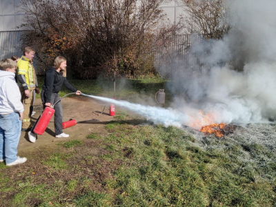 IMG_20251104_121359773