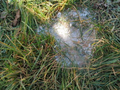 IMG_20251104_123351375