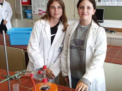 IMG_20231003_121221