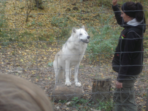 Lehrausgang 2AB - 23.10.2019