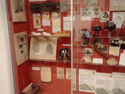 IMG_20260224_150556641