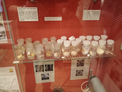 IMG_20260224_152931683