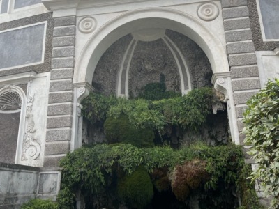 Gross-IMG_2925