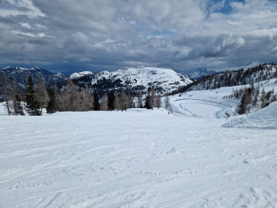 IMG-20250327-WA0043