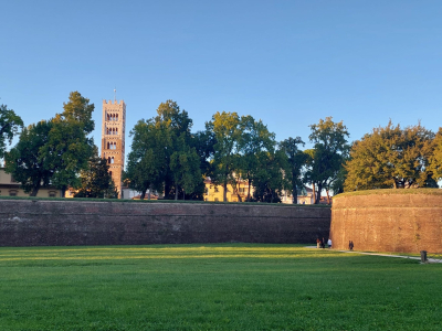Lucca_2