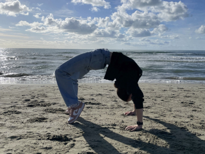 Viareggio_4