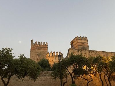 Image-13