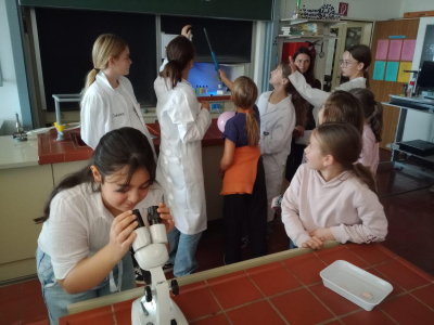 0IMG_20251106_102359968