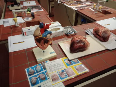 IMG_20251211_084330859