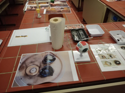 IMG_20251211_084335261