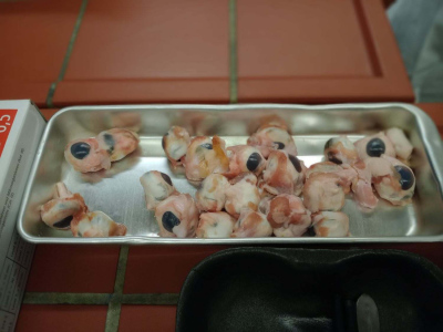 IMG_20251211_084914416