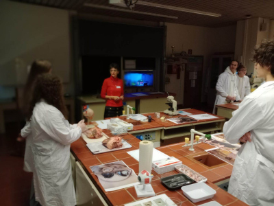 IMG_20251211_084920657