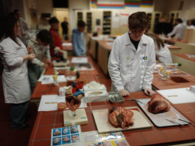 IMG_20251211_094906276