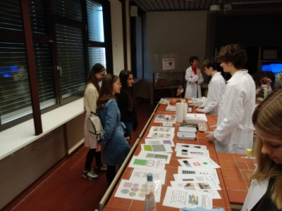 IMG_20251211_094936893