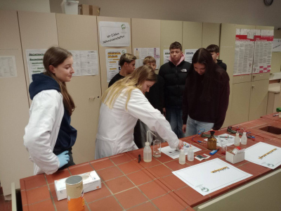 IMG_20251211_095633148