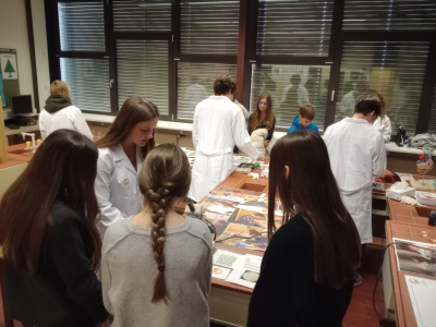 IMG_20251211_101057247