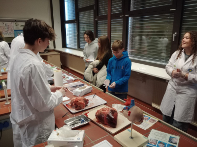 IMG_20251211_101104681