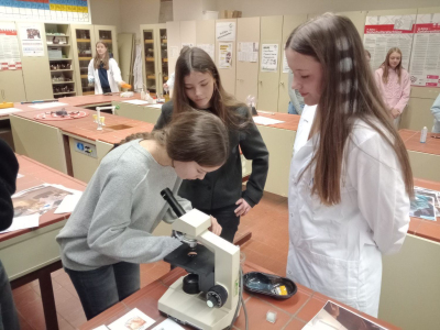 IMG_20251211_101115076