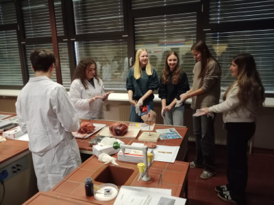 IMG_20251211_101912423