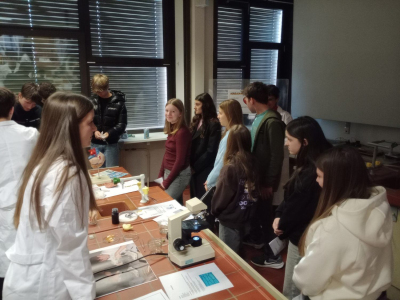 IMG_20251211_103957130