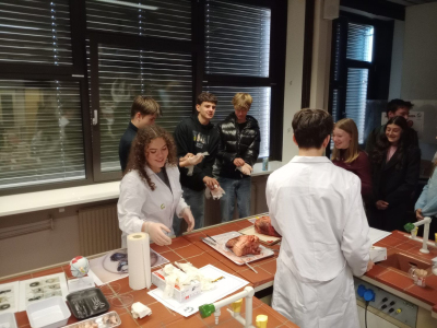 IMG_20251211_104006724