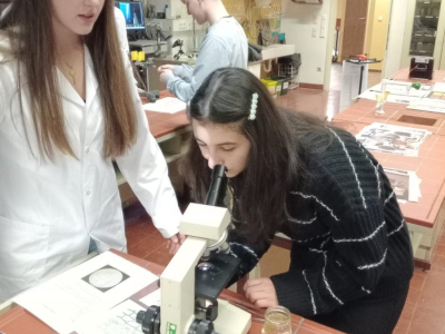 IMG_20251211_104030436