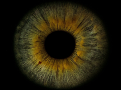 KdM-Oktober-25