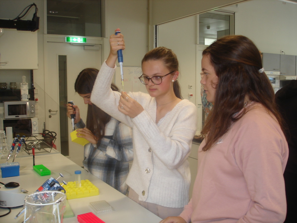 NWLExkursion der 7. Klassen des Realgymnasiums Gymnasium Hartberg