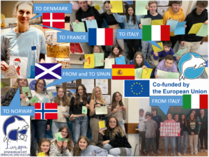 Exchange of digital and traditional Christmas cards