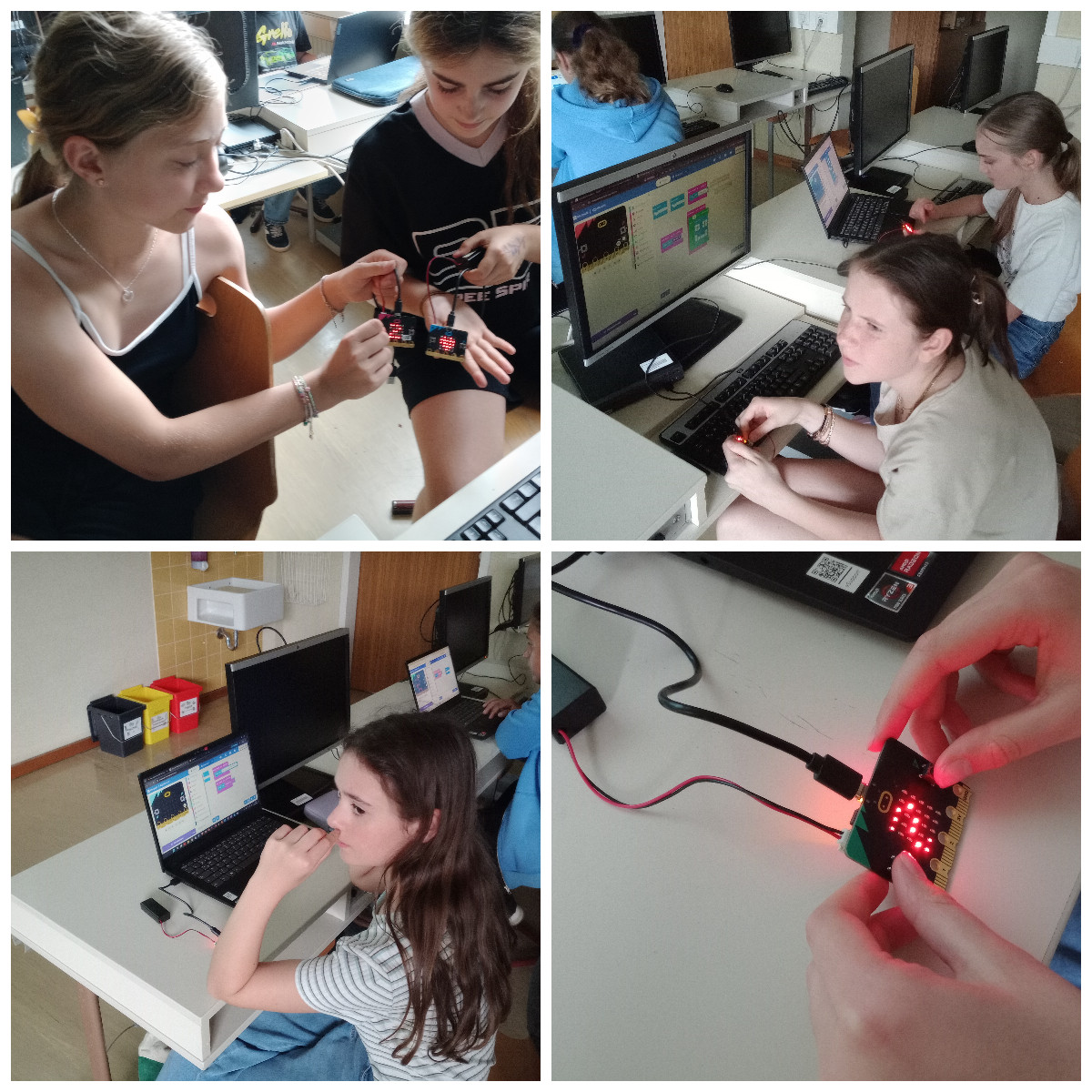 2026-2D-Microbit