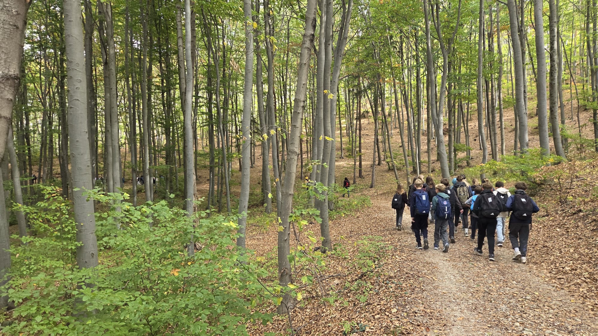 Wandertag Foto 3